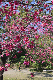 image0276