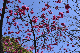 image0277