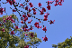 image0278