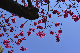image0279