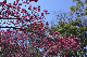 image0280