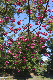 image0281