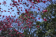 image0283
