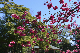 image0284
