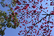 image0286