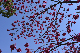 image0287
