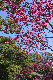 image0288