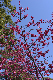image0289