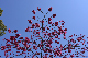 image0290