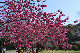 image0291