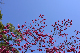 image0292