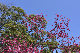 image0294