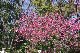 image0295