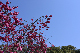 image0296