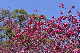 image0297