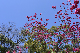 image0298