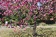 image0299
