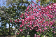 image0300