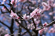 image0301