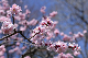 image0303