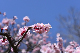 image0304
