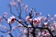 image0305