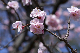 image0307