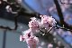 image0310