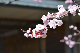image0312