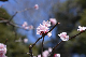 image0314