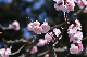 image0316