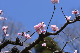 image0317