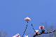 image0318