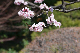 image0319