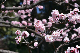 image0320