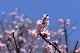 image0322