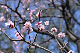 image0327