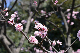 image0330