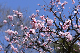 image0331