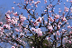 image0332