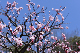 image0333