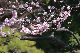 image0334