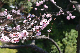image0335