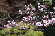 image0336
