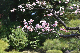 image0337