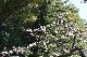 image0338