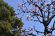 image0339