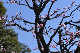 image0340