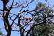 image0341