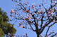 image0342